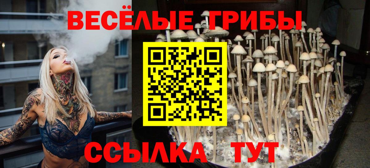 Ногинск  Псилоцибиновые грибы прущие грибы  Галлюциногенные грибы Magic Shrooms  Вход с VPN 