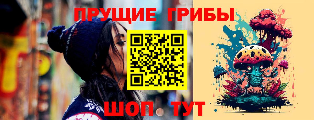 Псилоцибиновые грибы Psilocybine cubensis Ногинск